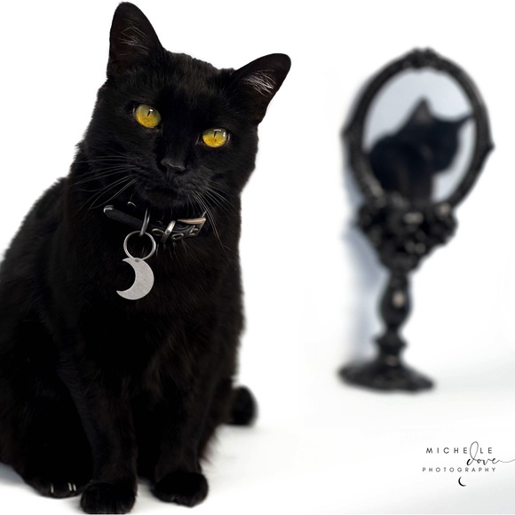 To Be Desired Vanity Mirror - Picture 7 of 7